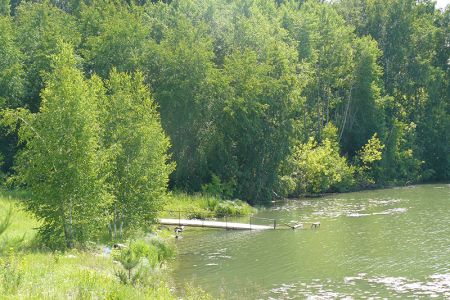 Главный корпус