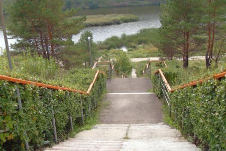 Внешний вид