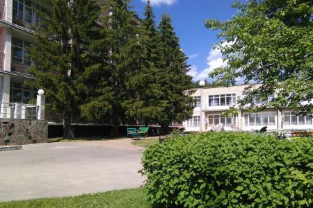 Внешний вид