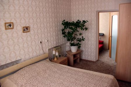 Внешний вид