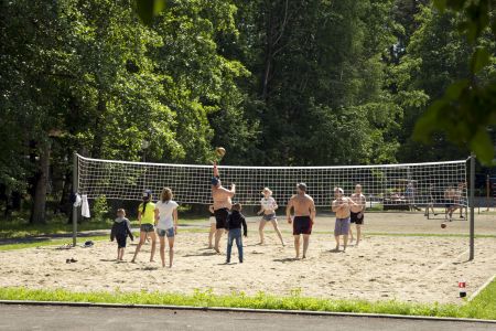 Внешний вид