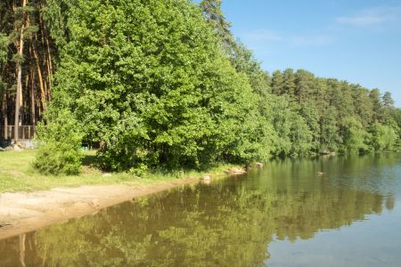 Внешний вид