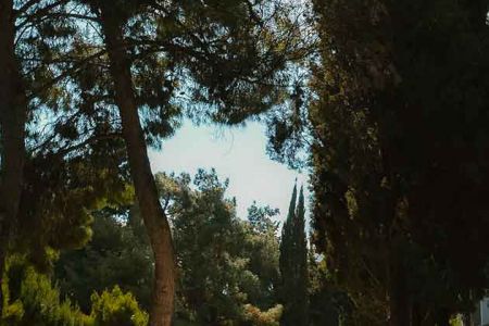 «Феодоро» парк-отель