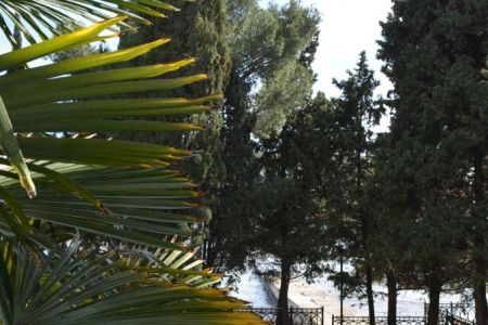 «Феодоро» парк-отель