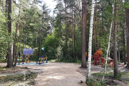 Воркаут и детская площадка