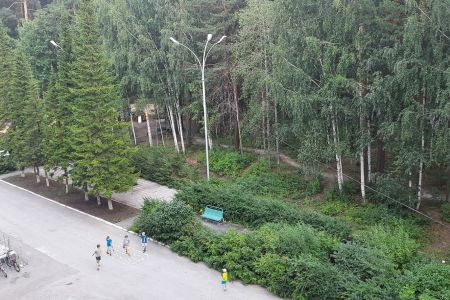 Внешний вид