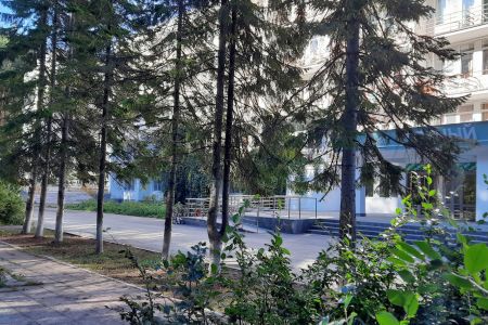 Внешний вид