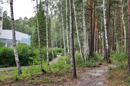 Внешний вид