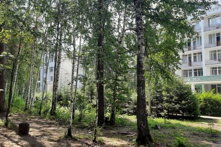 Внешний вид