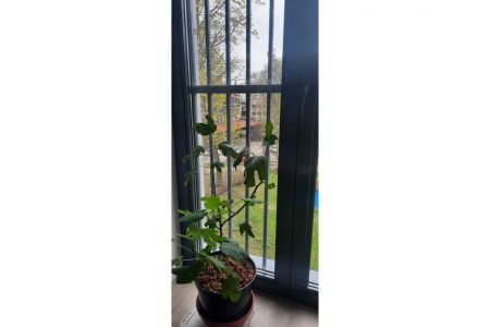 Апартаменты 2-местные