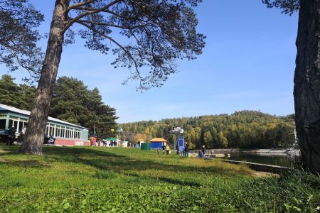 Внешний вид