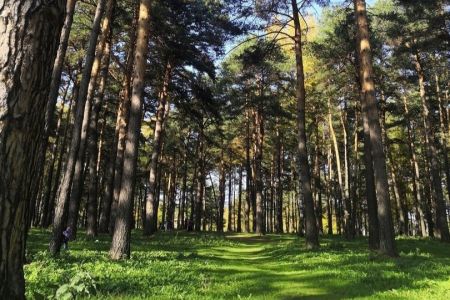 Внешний вид