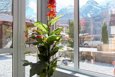 Внешний вид