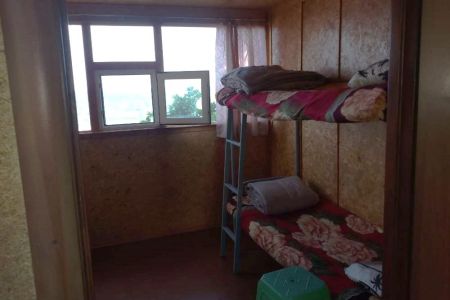 Орлан. Общий вид