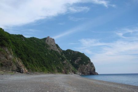 Орлан. Общий вид