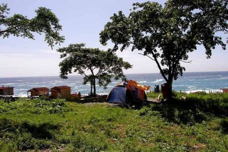 Орлан. Общий вид