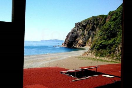 Орлан. Общий вид