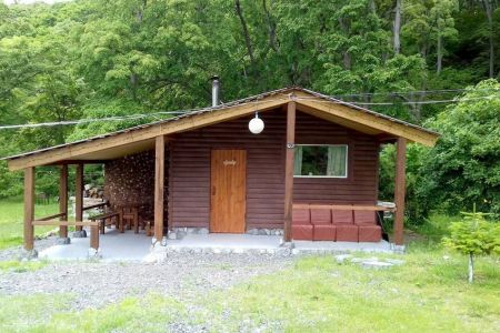 Орлан. Общий вид