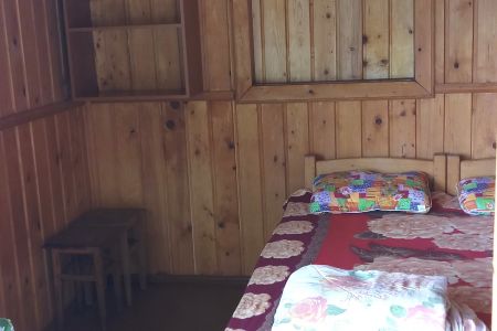 Орлан. Общий вид