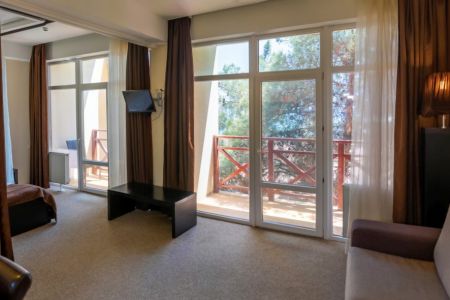 Полулюкс 2-местный 1-комнатный