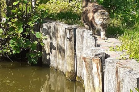 Домик 4-местный