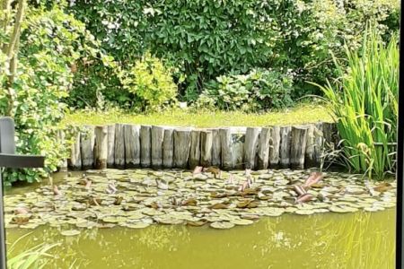 Домик 4-местный