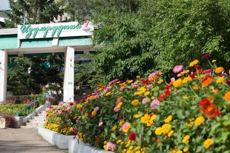 Внешний вид