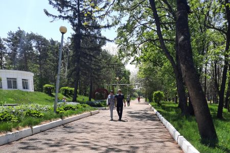 Внешний вид