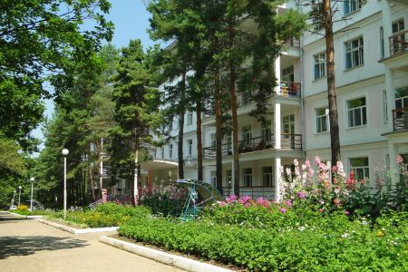 Внешний вид