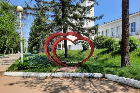 Внешний вид