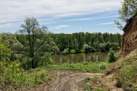 Внешний вид