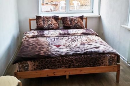 Внешний вид