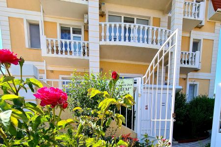 Внешний вид