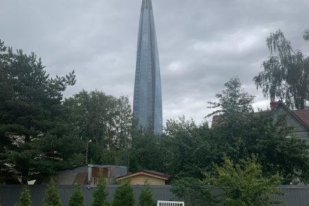 внешний вид