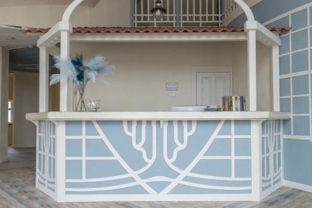 внешний вид