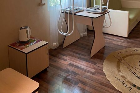 Внешний вид. Семейный улучшенный