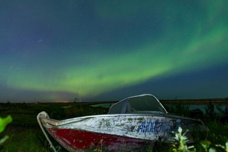 Внешний вид