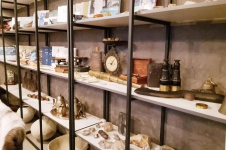 Внешний вид