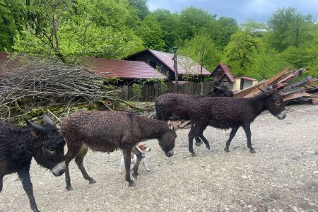 Развлечения