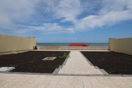 Без названия (22)