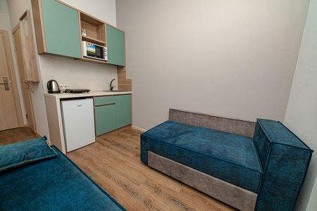 Апартаменты 1-местный