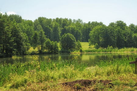 В деревне. Внешний вид