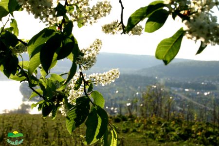 Природа Красного ключа