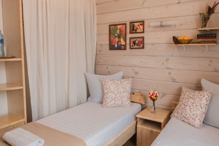 Стандарт TWIN