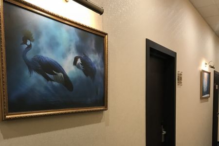 Внешний вид