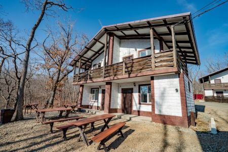 Внешний вид