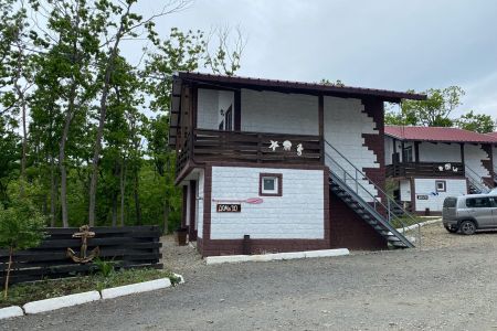 Внешний вид