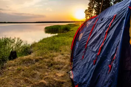 Домики, территория