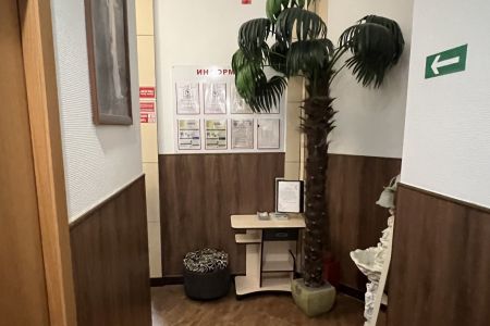 Внешний вид