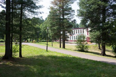 Внешний вид